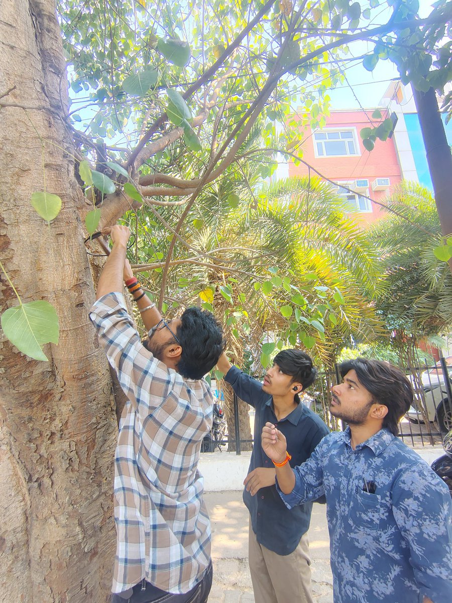 abvp4lucknow's tweet photo. 📍 लखनऊ उत्तर 📍
अखिल भारतीय विद्यार्थी परिषद "लखनऊ उत्तर" जिले के "सिटी लॉ कॉलेज जानकीपुरम इकाई" के "स्टूडेंट्स फॉर डेवलेपमेंट आयाम" द्वारा 1 मई से लेकर 7 मई तक चलने वाले "Selfie With My Sakora" अभियान के पहले दिन पर कॉलेज परिसर में सकोरा लगाकर शुरुआत किया गया।
#abvplucknow https://t.co/pAit77BBUu