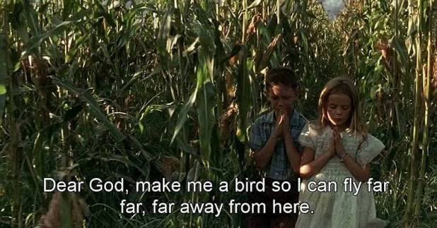 Please