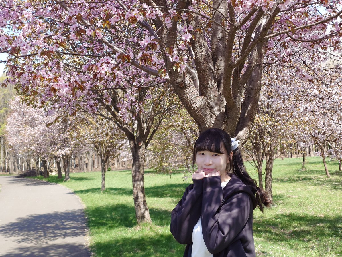 中島にこ（ミスカラット） tweet media