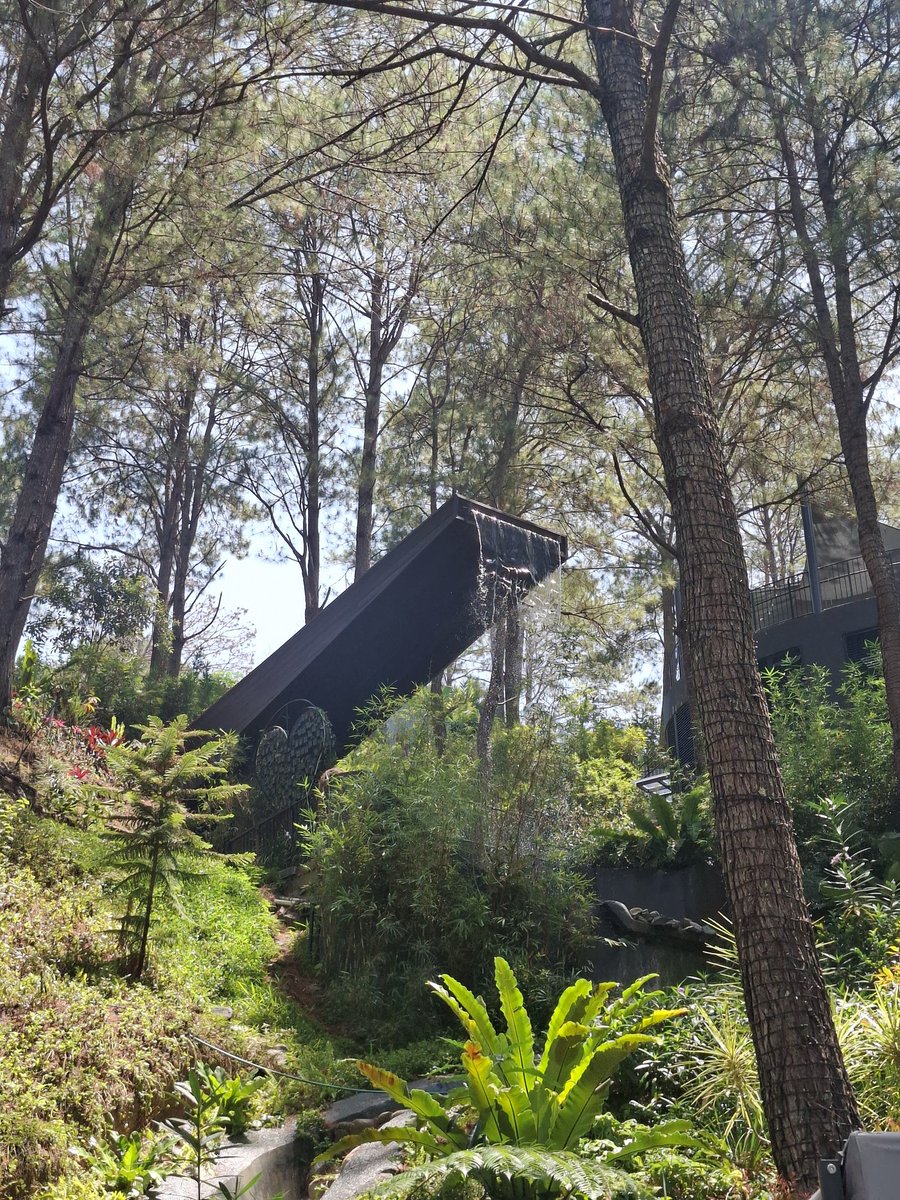 SomeIslandBoi's tweet photo. April Baguio X Elyu gala. https://t.co/yvulxSQLHl
