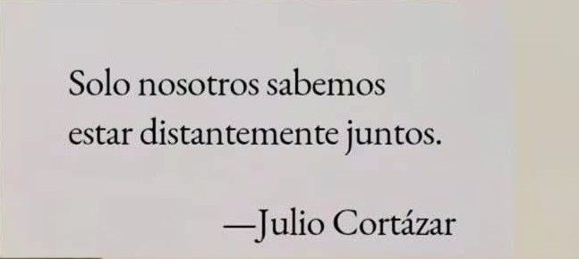 escribonia tweet media