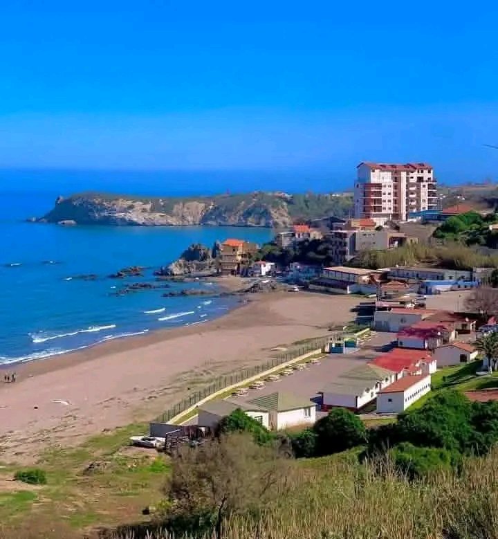 Algérie زهرة الامل tweet media