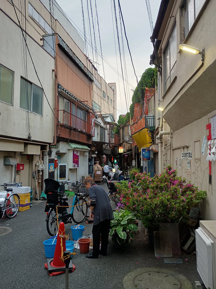 少しだけ人生や愛と関係がある十条仙人@矮小な思い出づくり tweet media