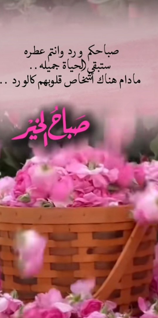 Reham tweet media