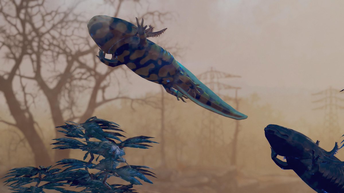 photo shoot last night #fallout76