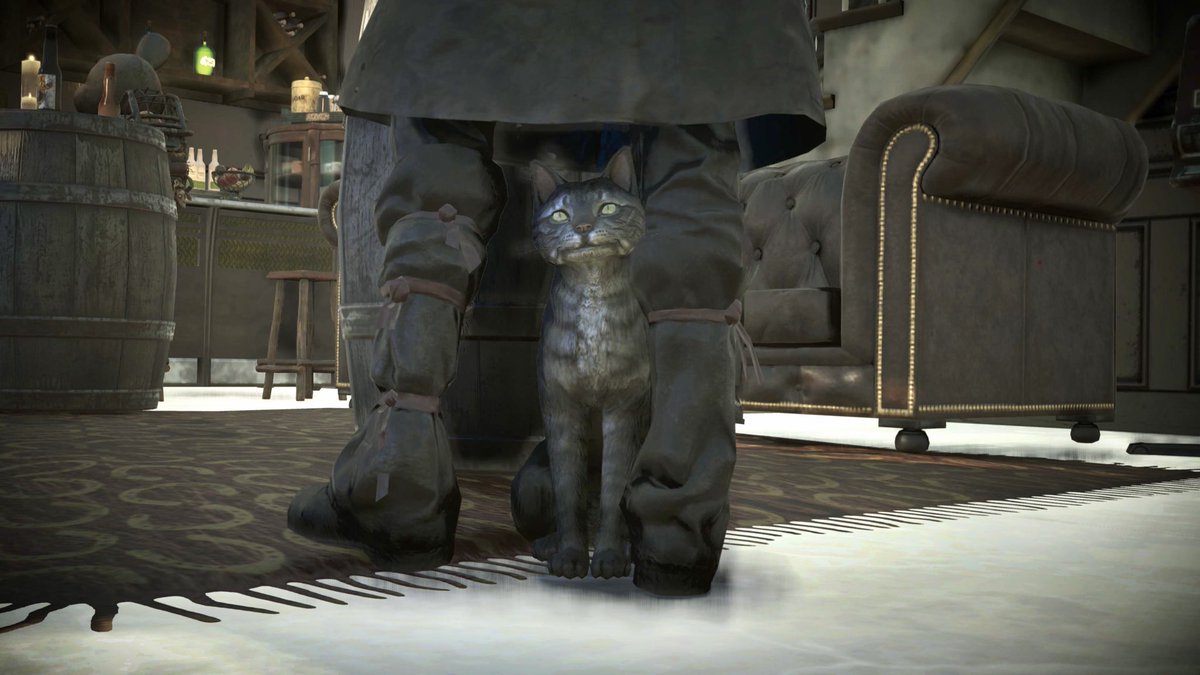 photo shoot last night #fallout76
