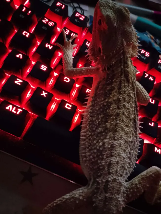 The_Bl0b_'s tweet photo. teaching my chud son to play ultrakill. he cant press the keys. https://t.co/hOQ7X1tMoA