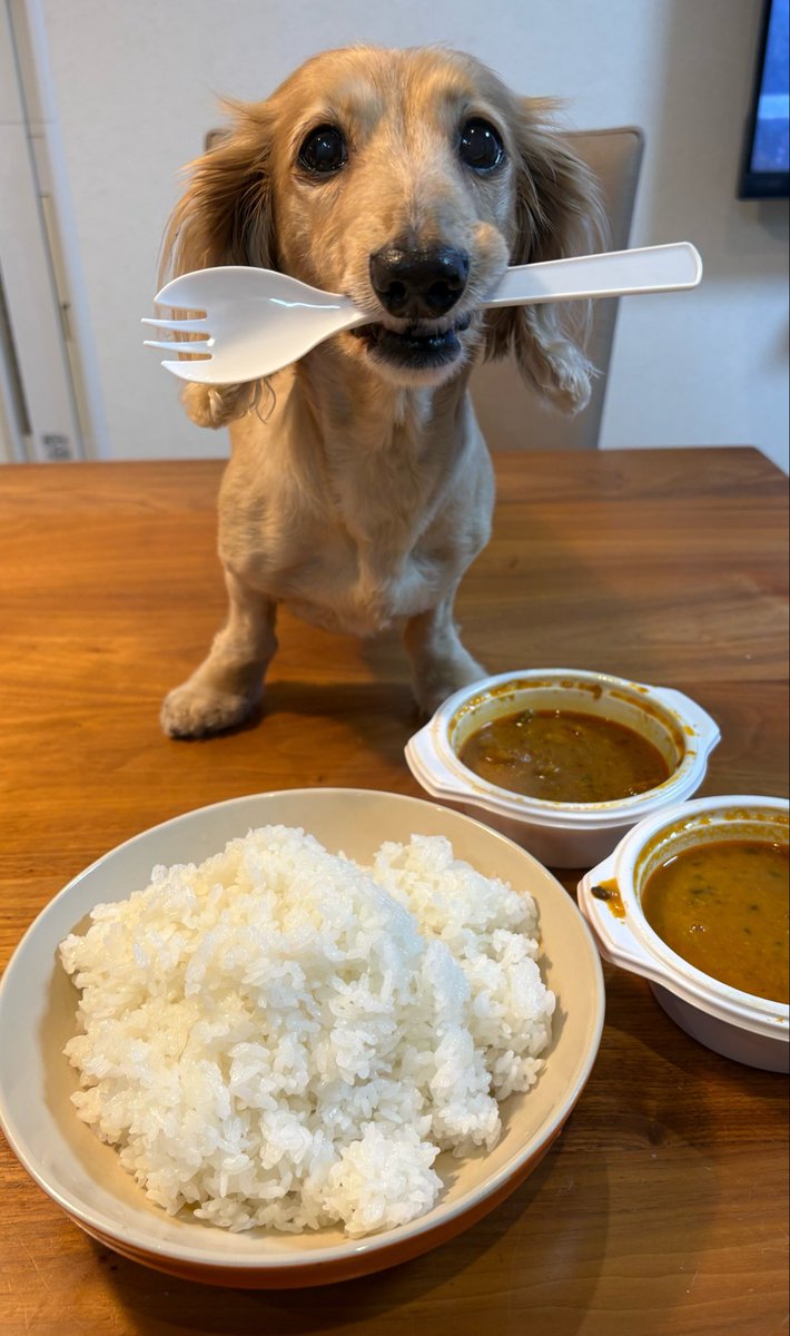 Sally papa tweet media