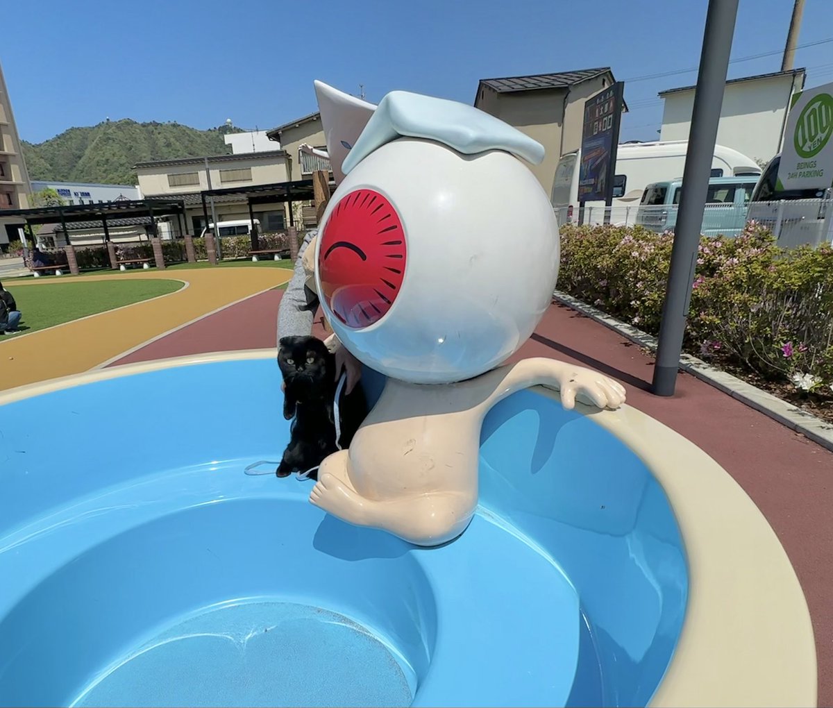 ふわも tweet media