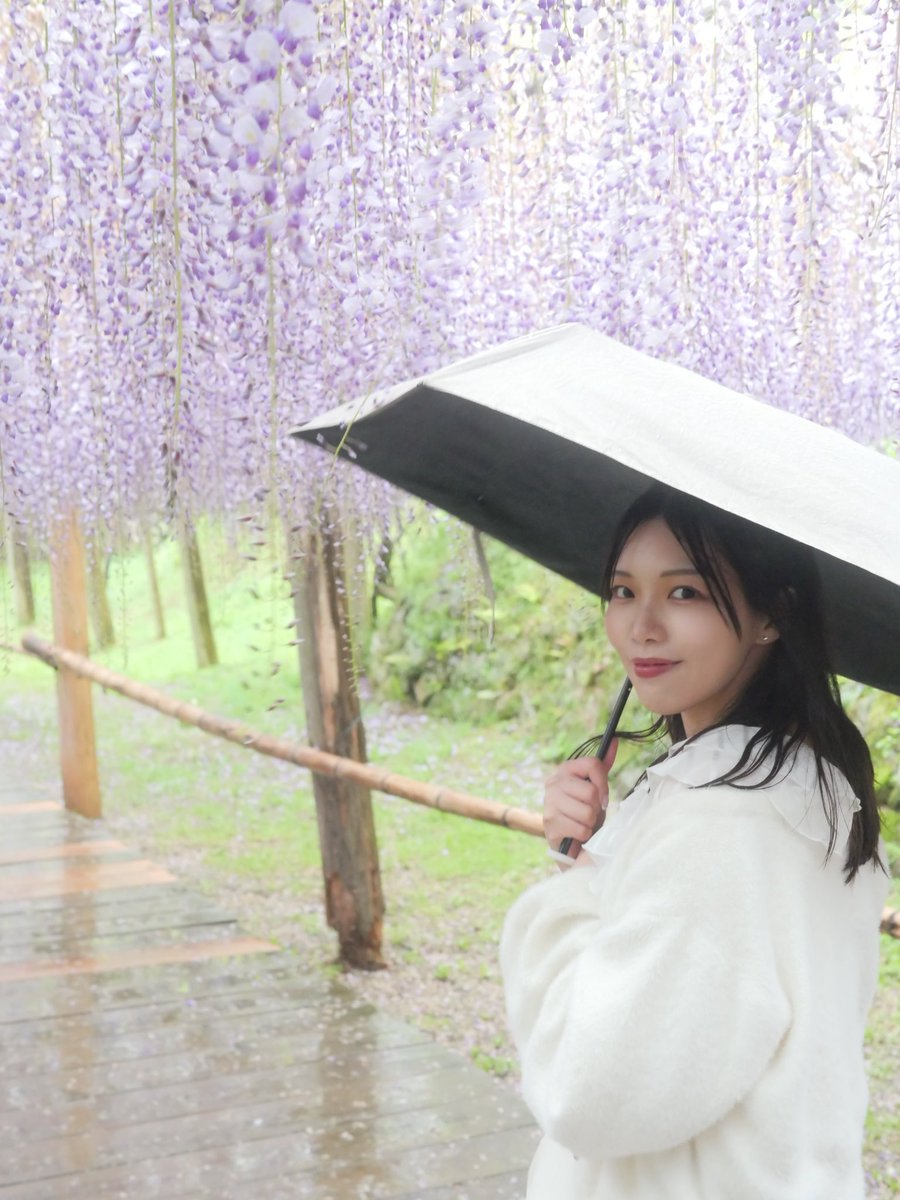 沖野珠美 tweet media