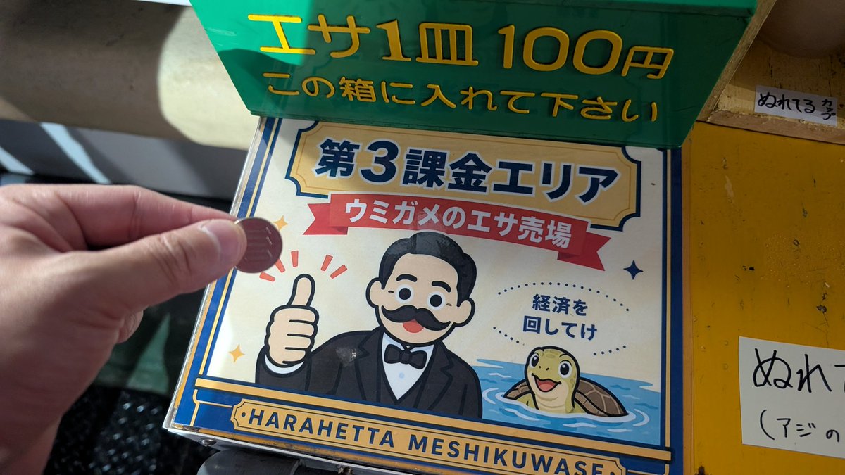 のこ🐍 tweet media