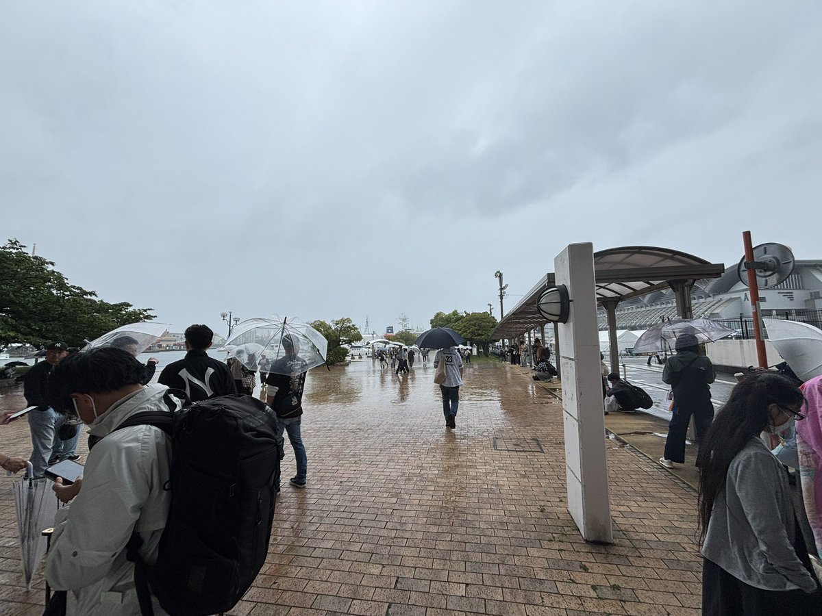 こや@取引垢 tweet media