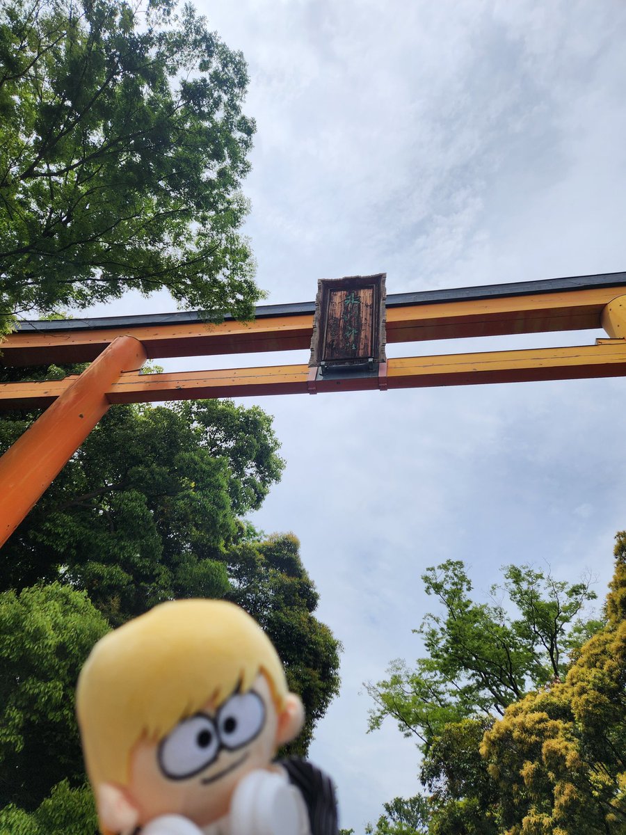 🤍 いつか⏰ tweet media