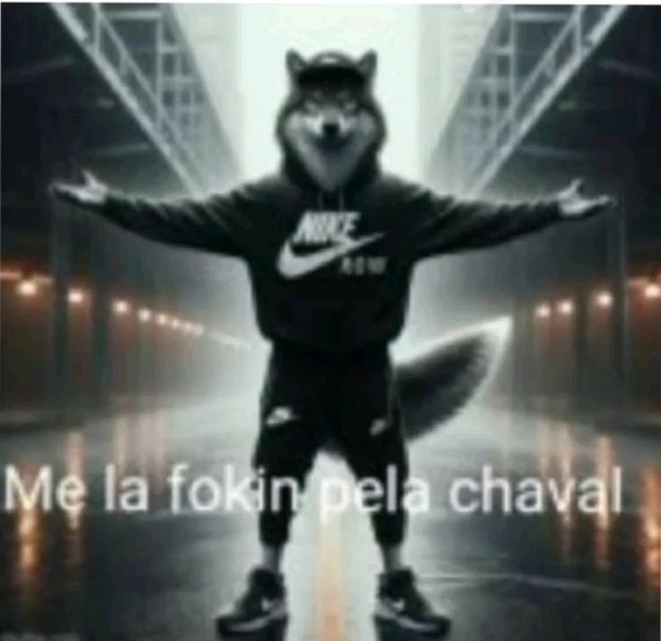 Chabe ° 🥊 tweet media