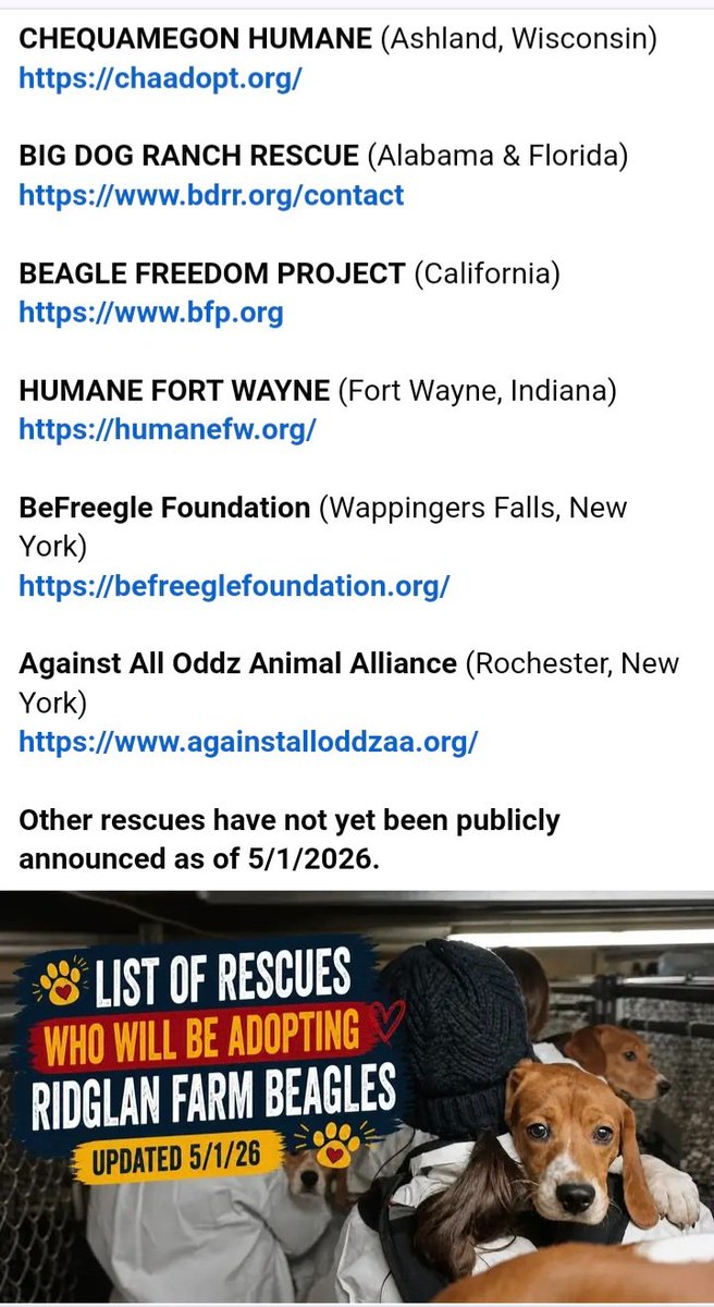 PINGPONGRL's tweet image. Please show your support by signing this petition to release ALL of the Beagles at Ridglan Farms in Wisconsin.

#Save ALL of the beagles 
# Ridglan Farms

change.org/p/shut-down-ri…