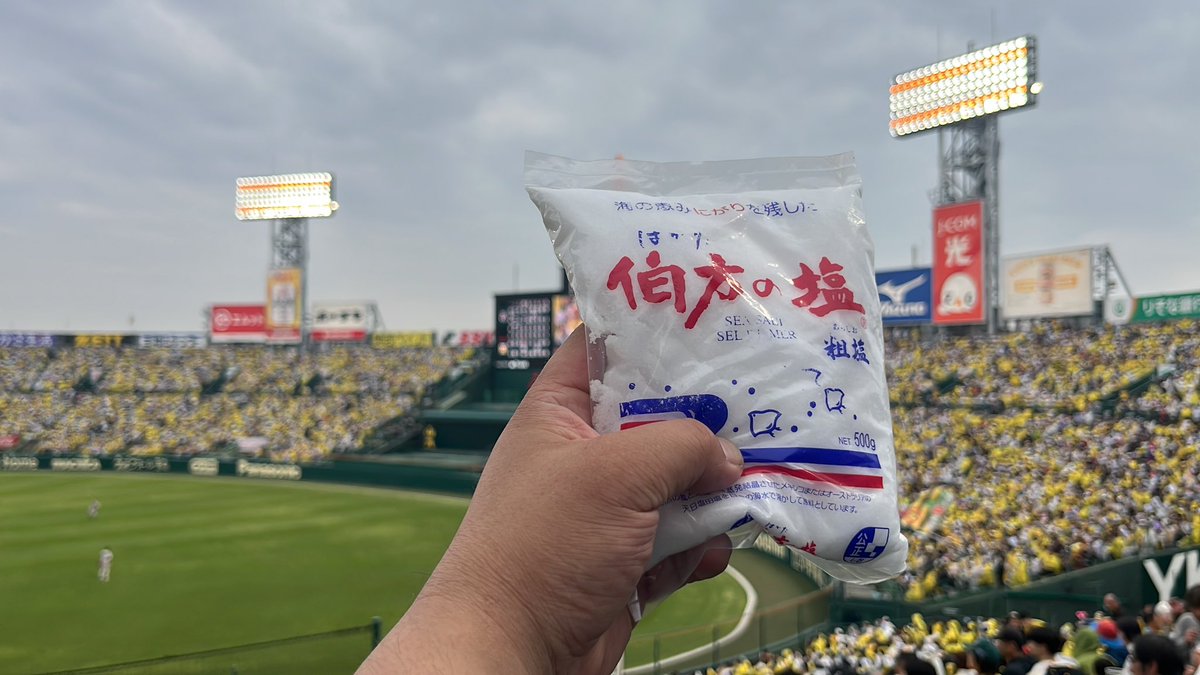 梅雨前線にゃんぺー🐯next5/3.4.5.6 tweet media
