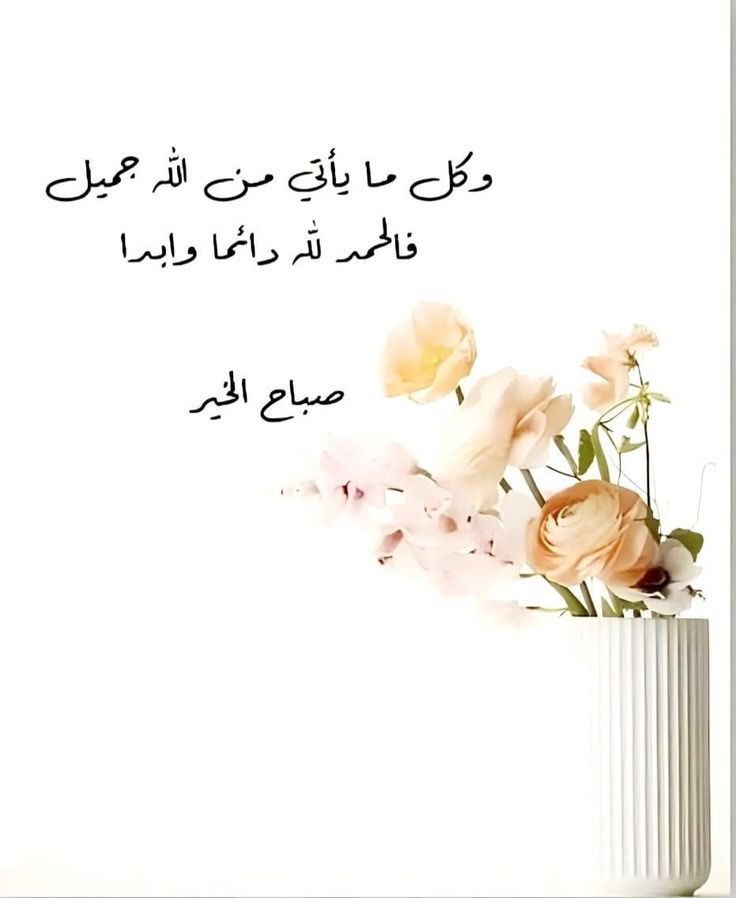 ۶بدالله ســــــــــــ۶يد. tweet media