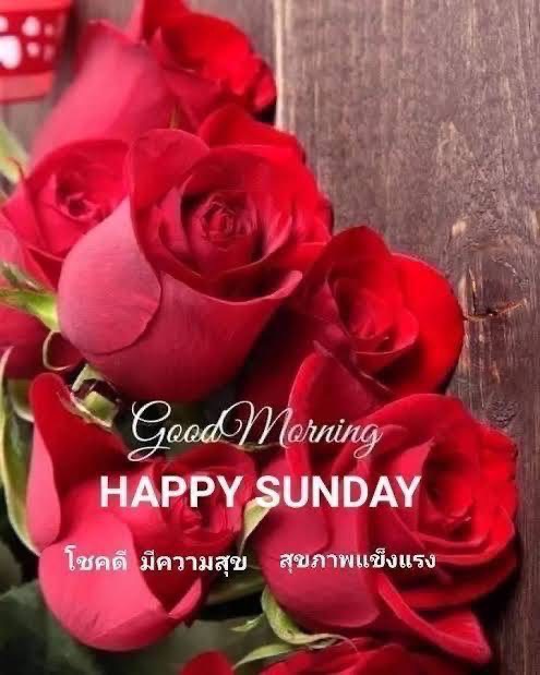 vid k.ang🇹🇭 tweet media