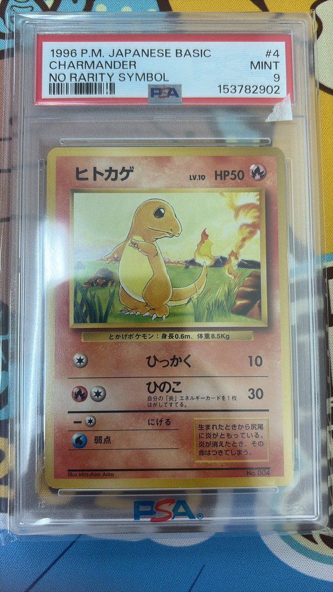 本日のみ PSA10 安い ポケカ