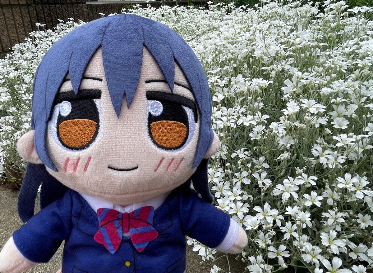 さしゃ (@syasya252) / Posts / X