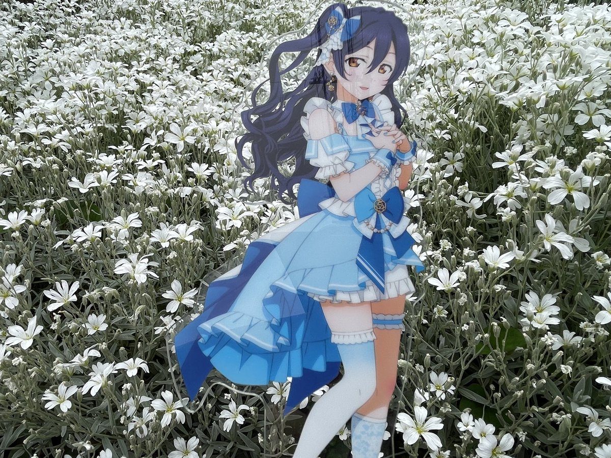 さしゃ (@syasya252) / Posts / X