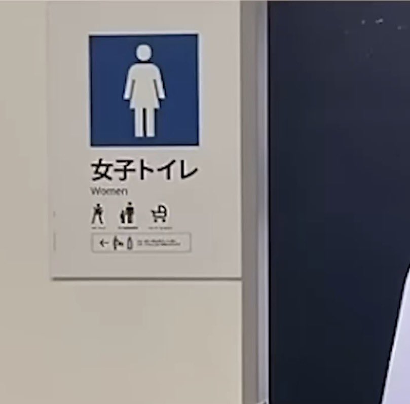 Tanakay9e's tweet photo. 小3の時トイレ行こうとした時、
女子トイレのマークの色が
青色だったから男子トイレかと
思って入っちゃって、
何故小便器無いのか疑問に思ったら
外国人のおばさんが入ってきて、
女子トイレだという事に気づいて
クソ焦ったww😇
めっちゃ恥かいたから、これを青にしたやつマジで許さないかんな？😡 https://t.co/MuWnLRJe02