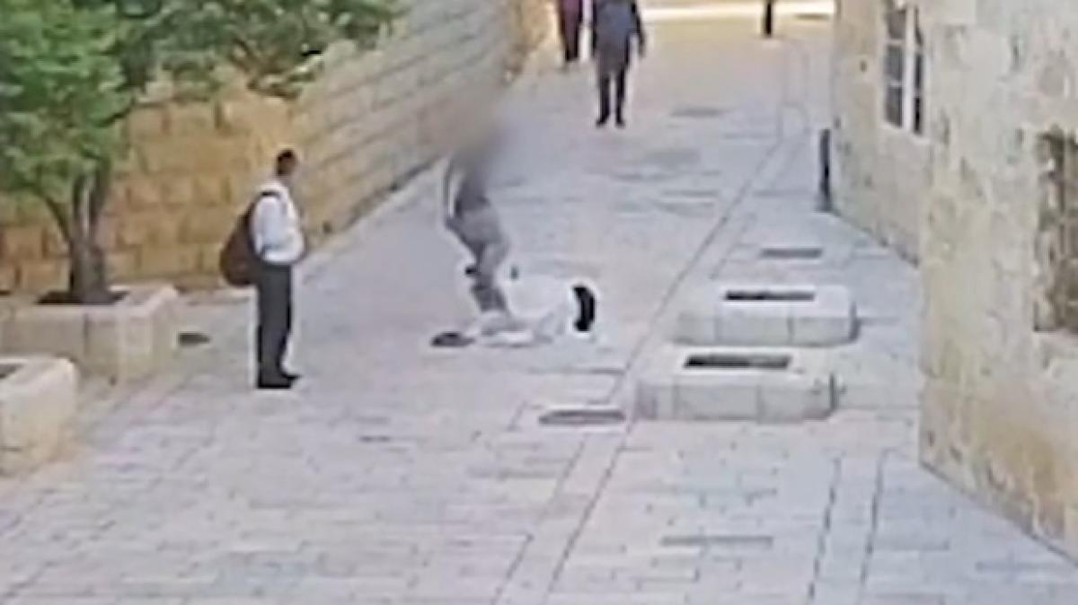 Agencia_Sana's tweet photo. España condena ataque a monja en Jerusalén y exige justicia
El Ministerio de Asuntos Exteriores expresó su “enérgica condena” al hecho, manifestó solidaridad con la víctima y le deseó una pronta recuperación.
#Monja #Jerusalén #España
🖇️Detalles 👉 https://t.co/V2RvlNJvSs https://t.co/Xfr9wTTfQC