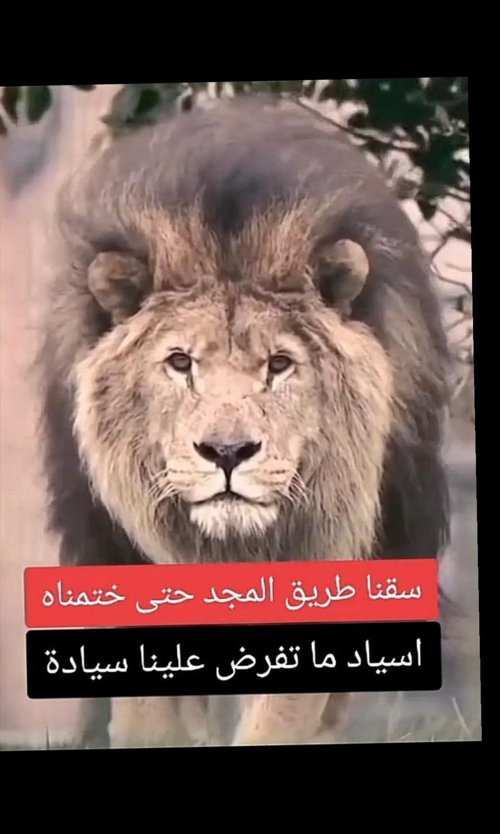 أبوجوانكا🤍شبابي للأبد tweet media