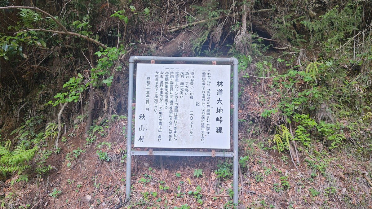 (๑╹ω╹)林道大地峠線
上半分がフラットダート