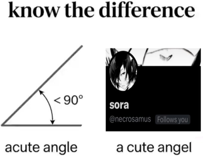 sora tweet media
