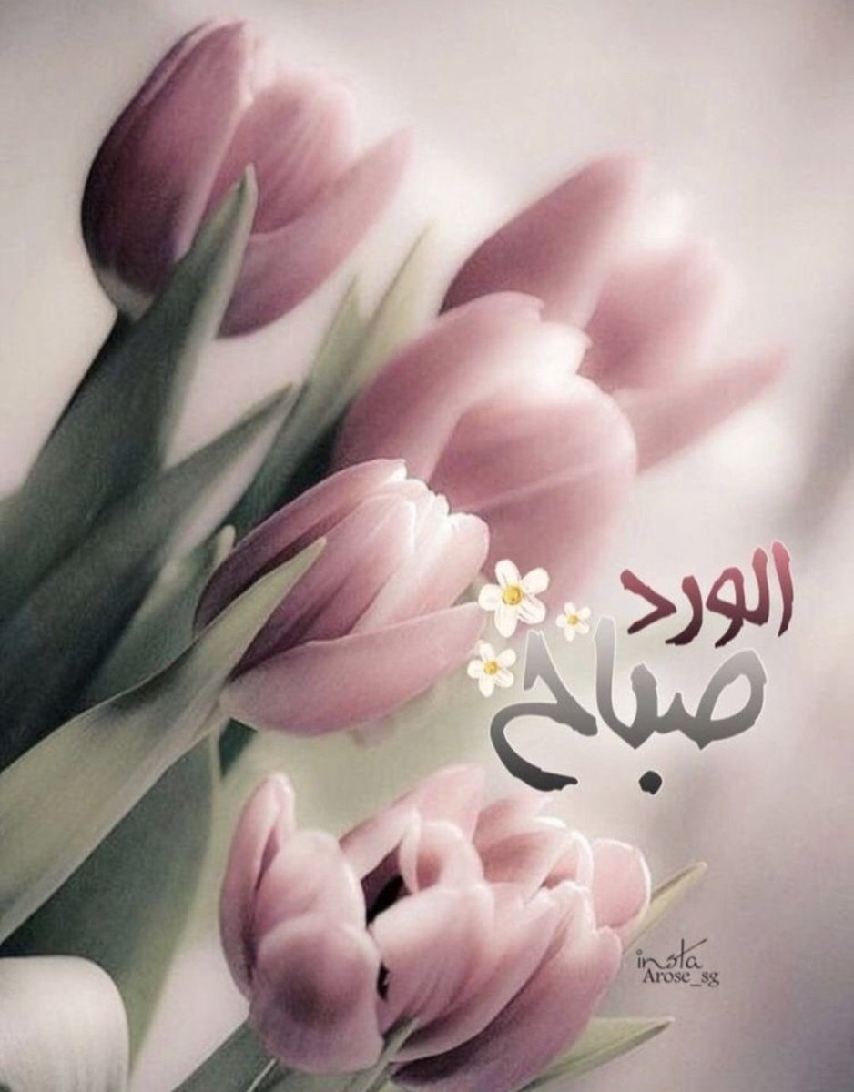 شافي العنزي tweet media