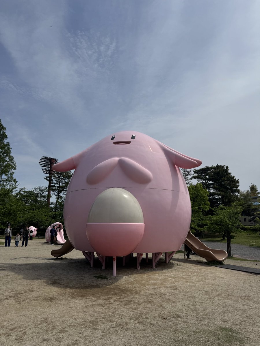 しゃお♪ ◢⁴⁶ tweet media