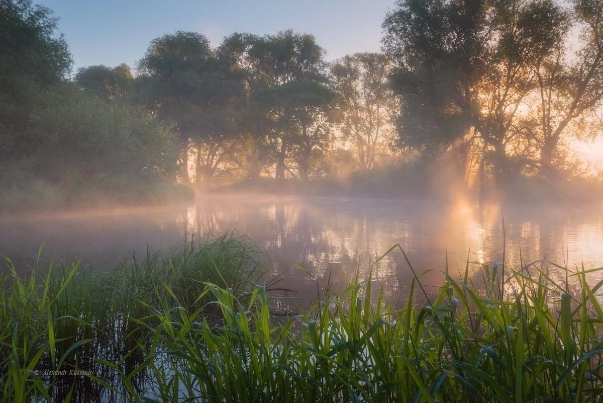 reminiscinbby's tweet photo. the kind of misty mornings you can just feel https://t.co/yt0NUxArGF