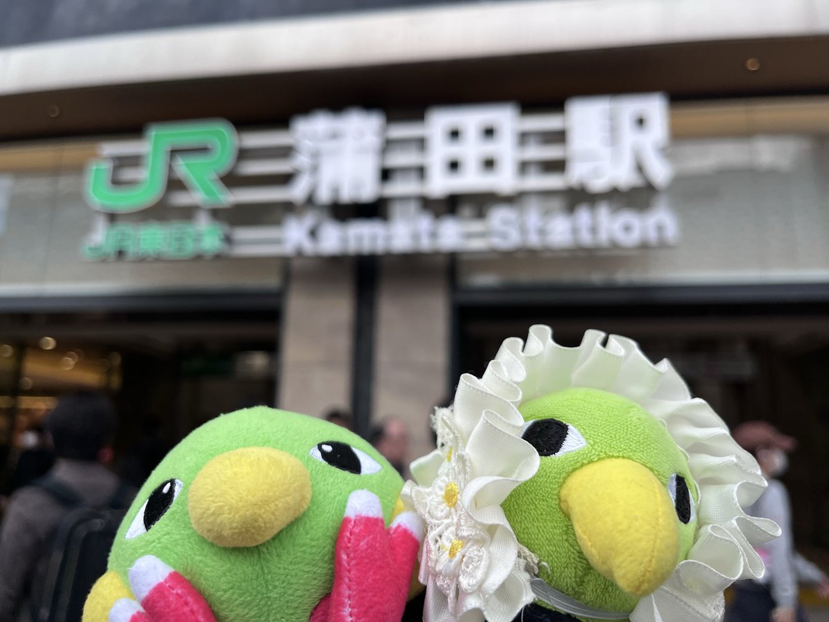 ねいてぃおーね tweet media