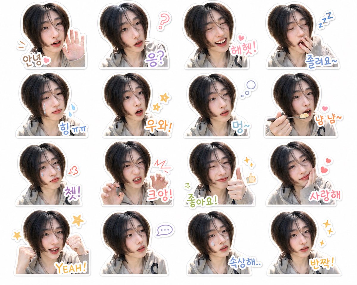 테디베어 tweet media
