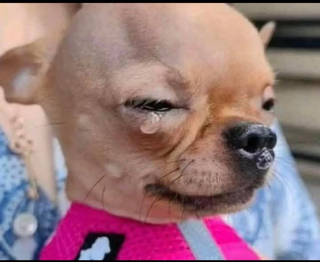 Maama Kigezi🥔🌦🌾 tweet media