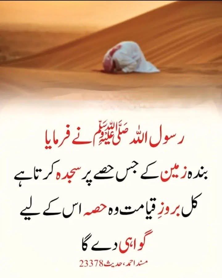 قرآن میری زندگی tweet media