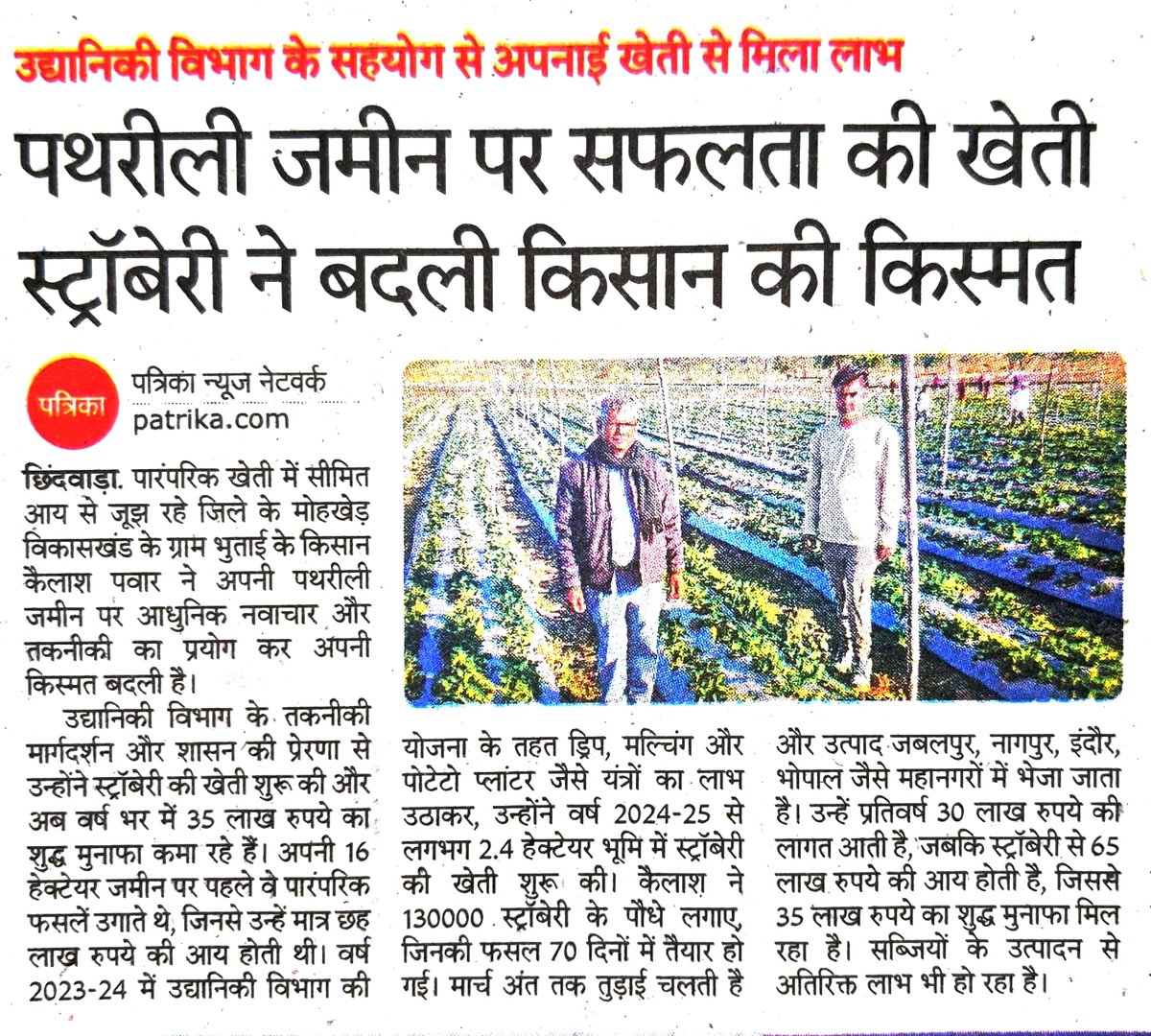 prochhindwara's tweet image. #सफलता_की_कहानी 

उद्यानिकी विभाग के सहयोग से अपनाई खेती से मिला लाभ

पथरीली जमीन पर सफलता की खेती स्ट्रॉबेरी ने बदली किसान की किस्मत

#SuccessStory 
#Horticulture #किसान 
#agriculture 
#procwa #छिन्दवाड़ा
#JansamparkMP