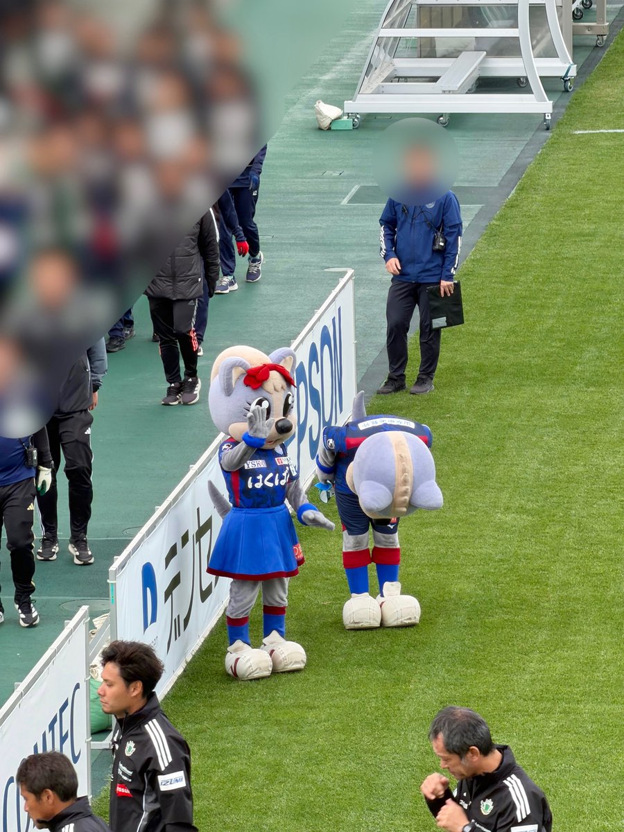 ぷ。 tweet media