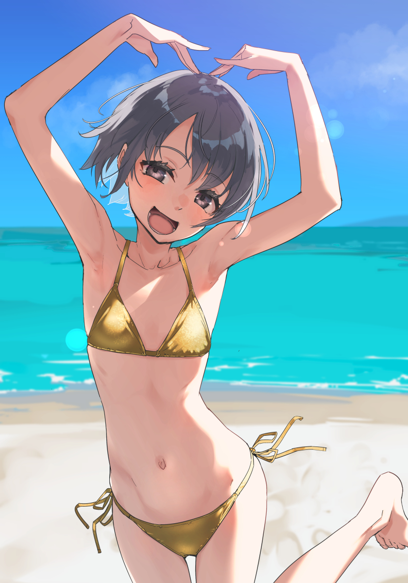 遠出留守 tweet media