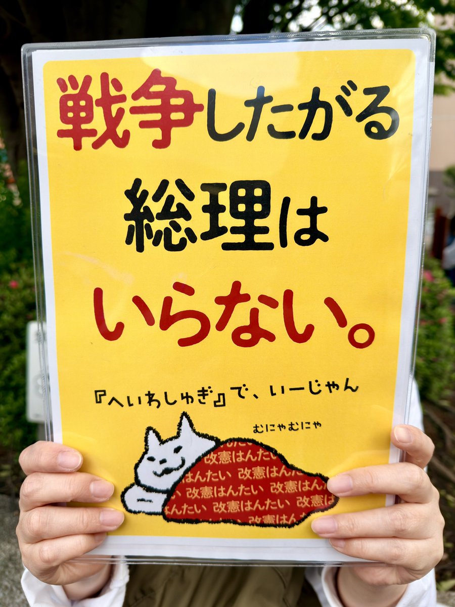 今日、2回目のデモに参加してきました。
素晴らしいスピーチがたくさん聞けました。
平和の願いがどうか届きますように。

#憲法大集会2026