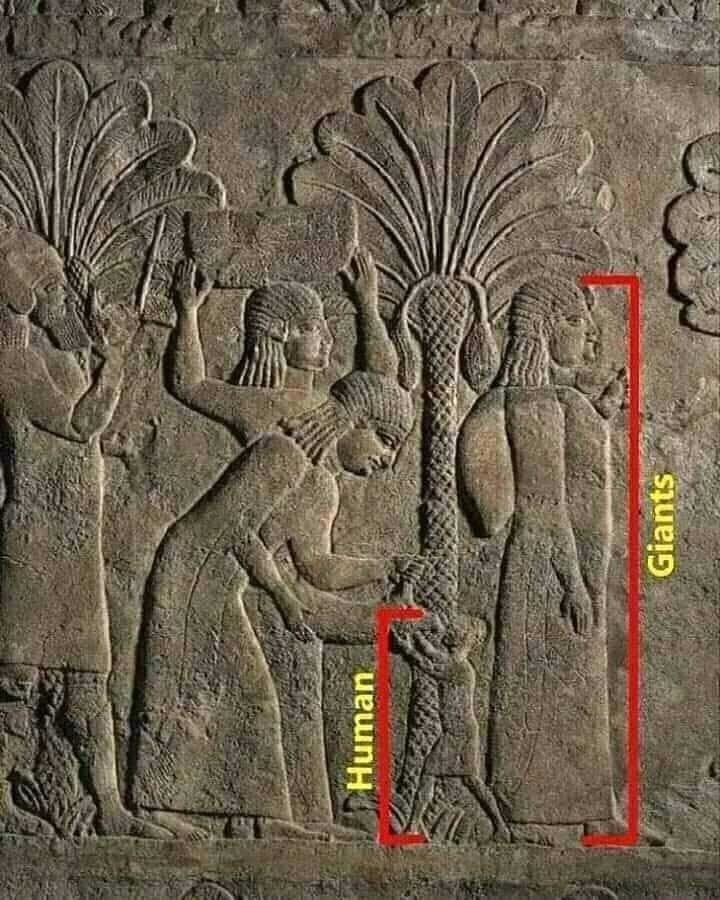 Ersinbeyciğim tweet media