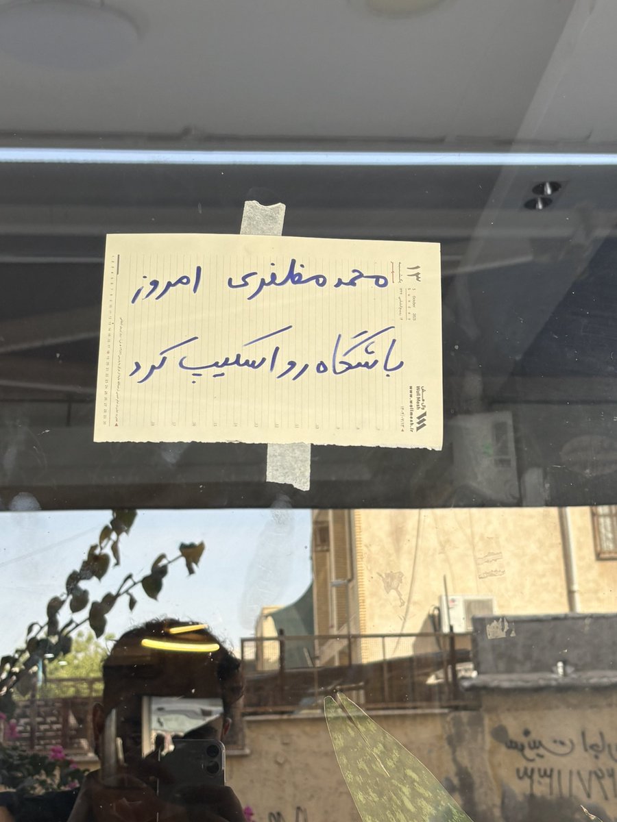 ببعی شمالی ولی ساکن در جنوب tweet media
