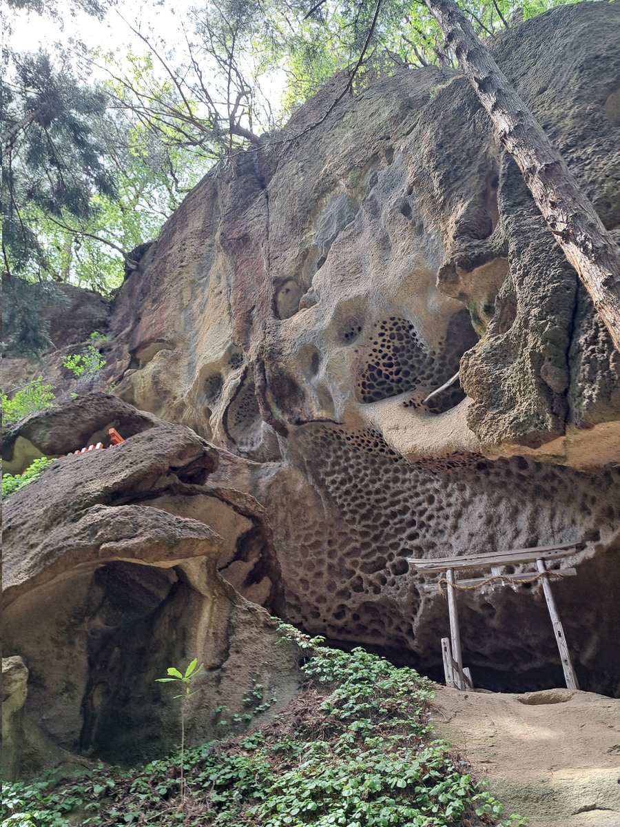 kottorin3's tweet photo. 山寺の奥之院まで行ってさらに垂水遺跡も行って足パンパンに
明日筋肉痛すごいわ https://t.co/Cxgly1ASWC