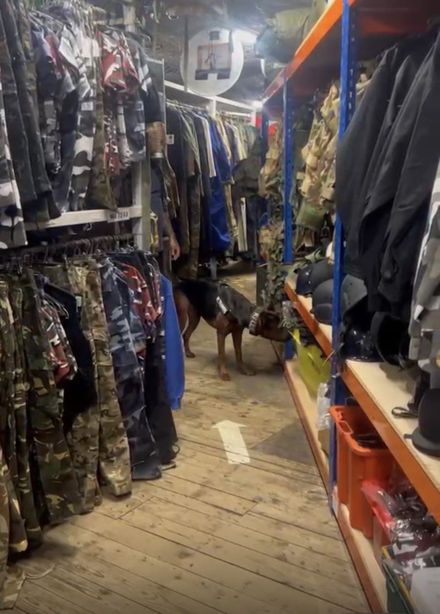 KallieDetection's tweet image. Great ending for Kallie’s first week of training as she detected in her first knife in a live search. Just more evidence that dogs can detect knives. #knifecrime #detectiondogs #bbcnews #workingdogs #violentcrime #knives #safety