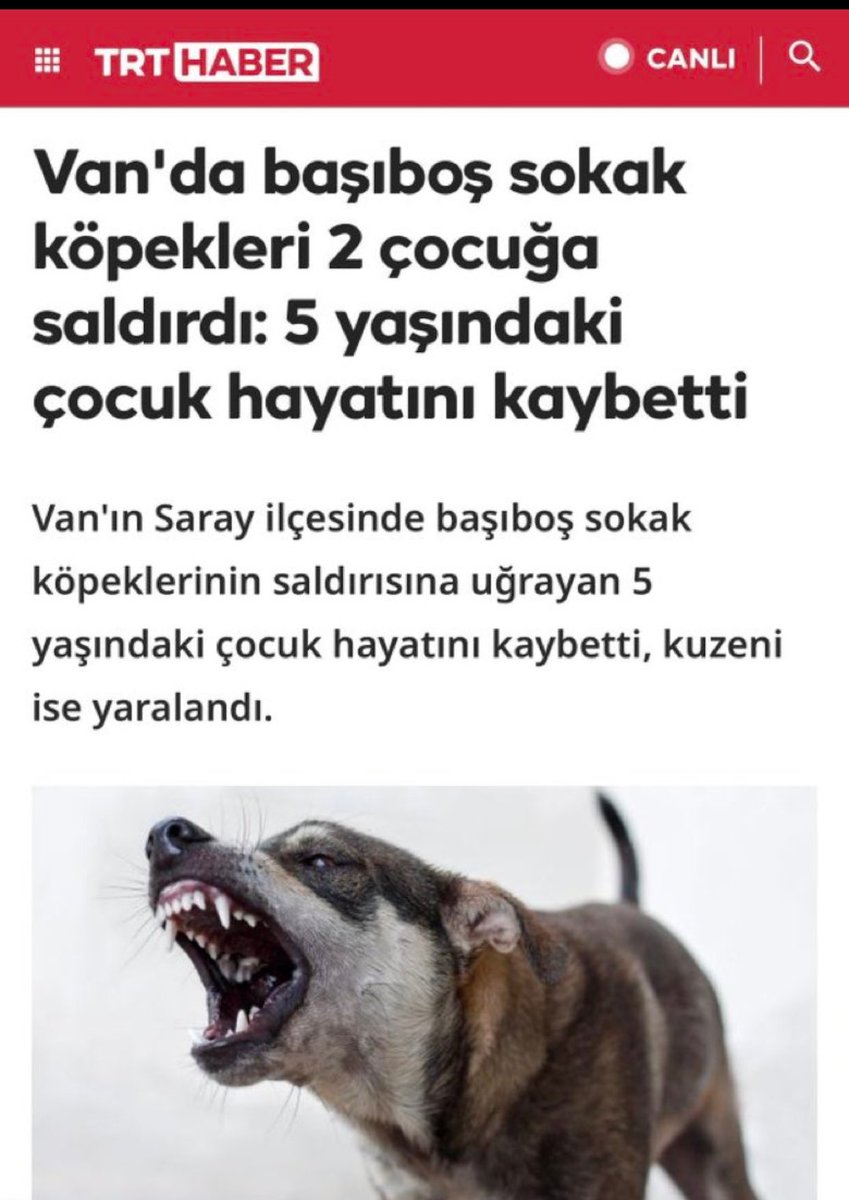 Yaşar Oğur🇹🇷 tweet media