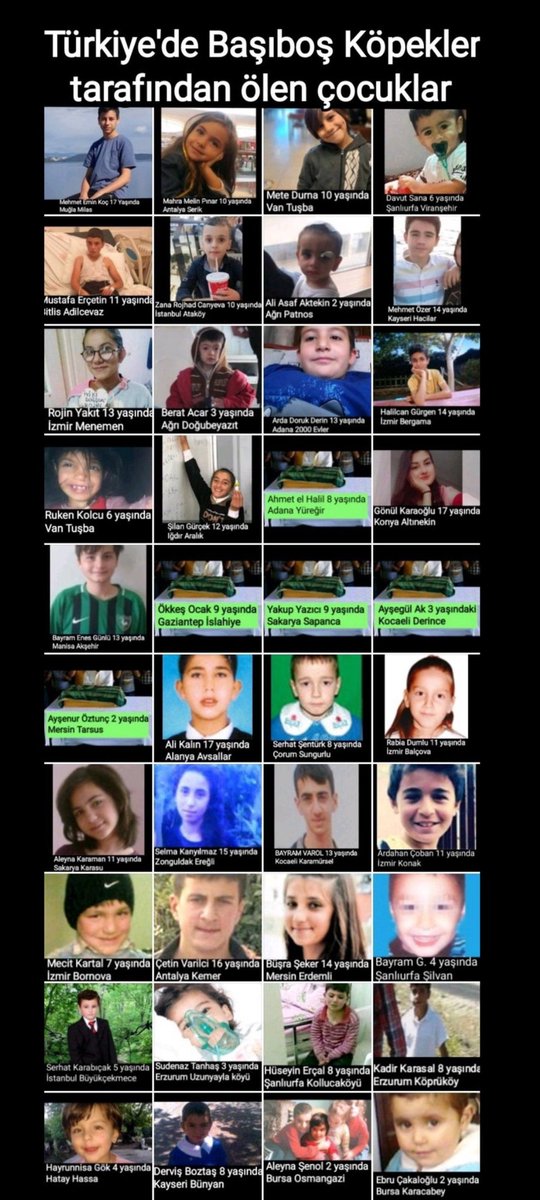 Yaşar Oğur🇹🇷 tweet media