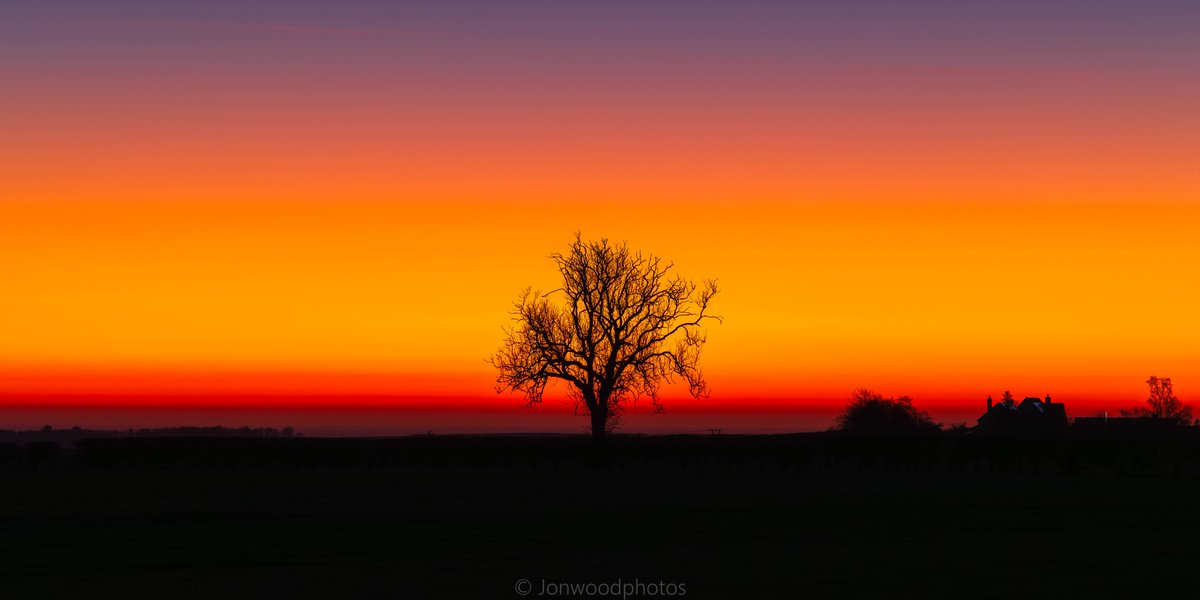 jonwood1978's tweet image. Lowick tree sunrise, Northumberland...

#getoutside