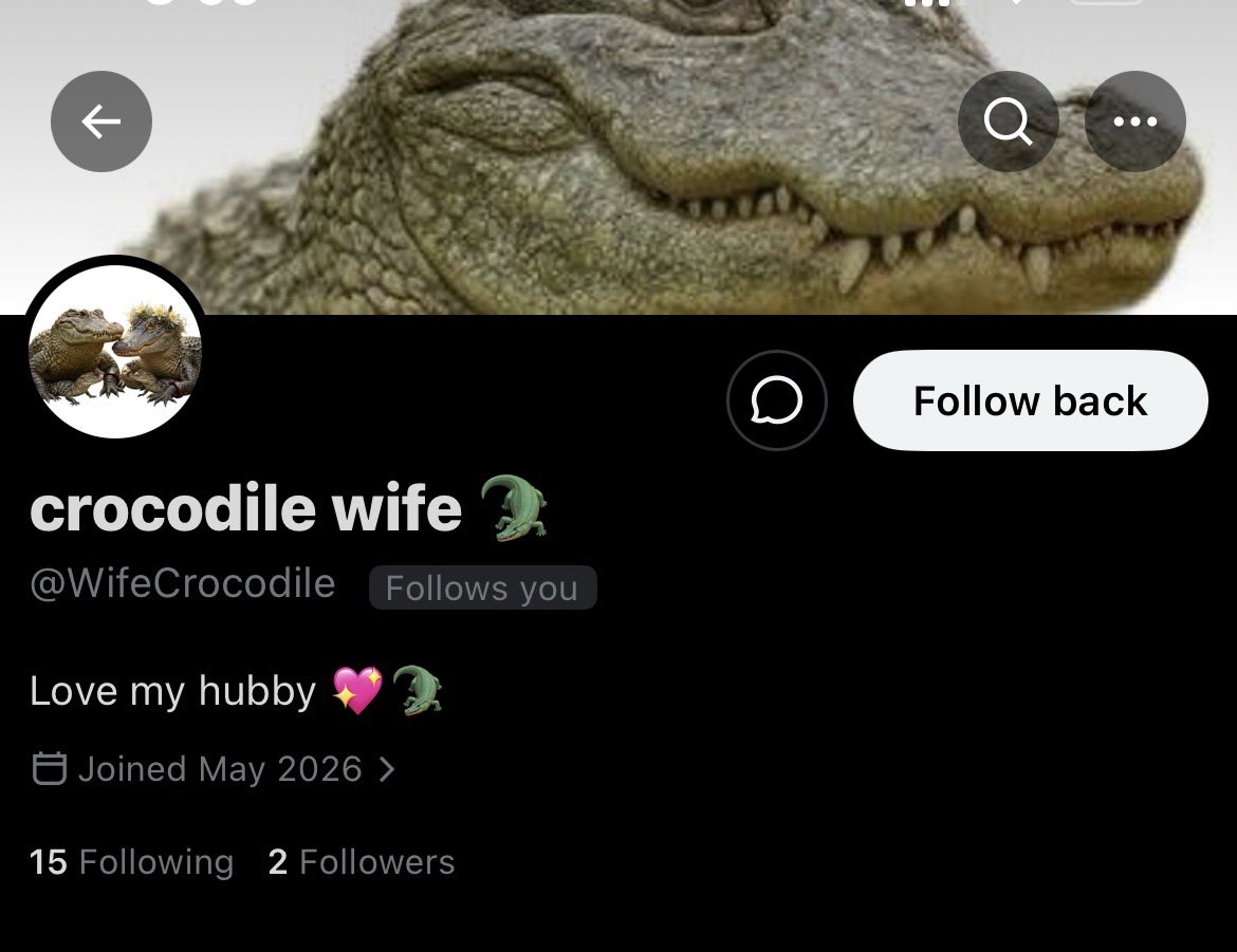crocodile tweet media
