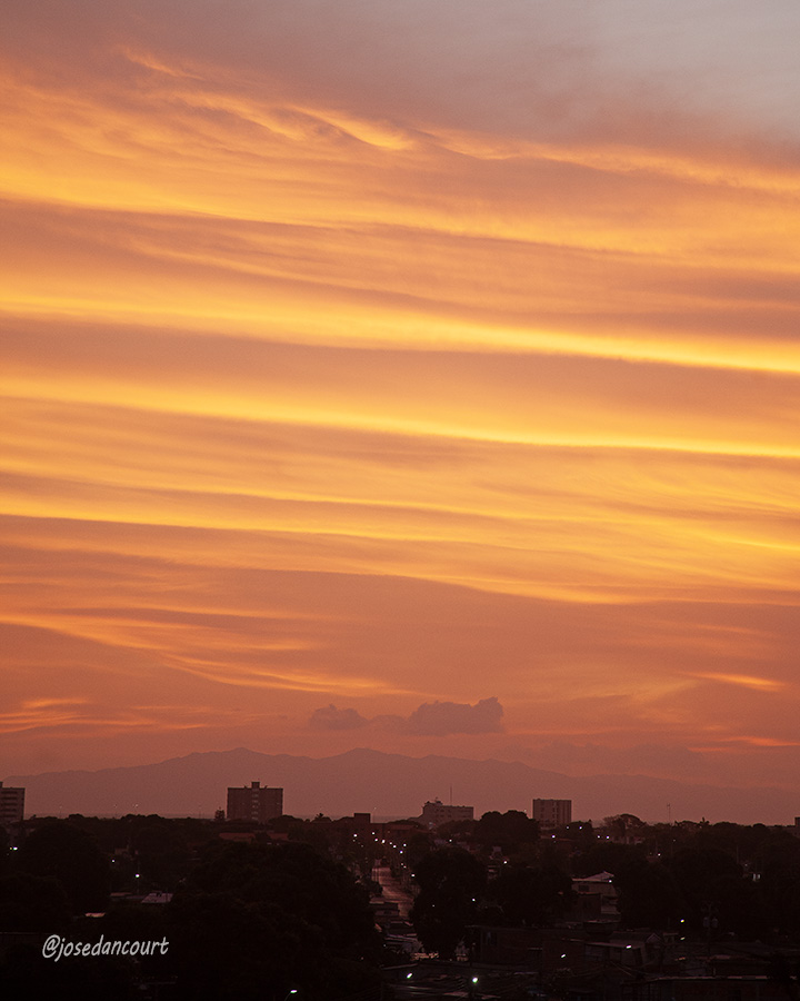 josedancourt's tweet image. Con un festival de colores durante la aurora se inicia el amanecer de este domingo y lo celebramos con dos coloridas postales.

#Sunrise #Sun #Color #Cumana #relax 

#CursoFotografiaTwitter
Gratuito
Autoestudio
Acceso en post fijado en mi perfil X